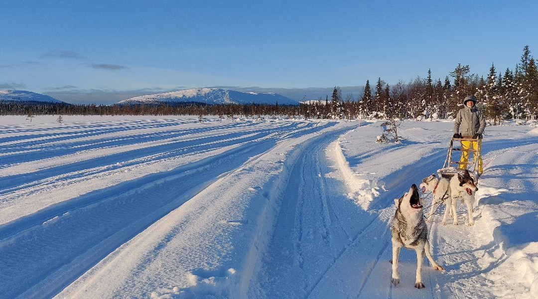 Rami's Huskies-Kittilä必去景点