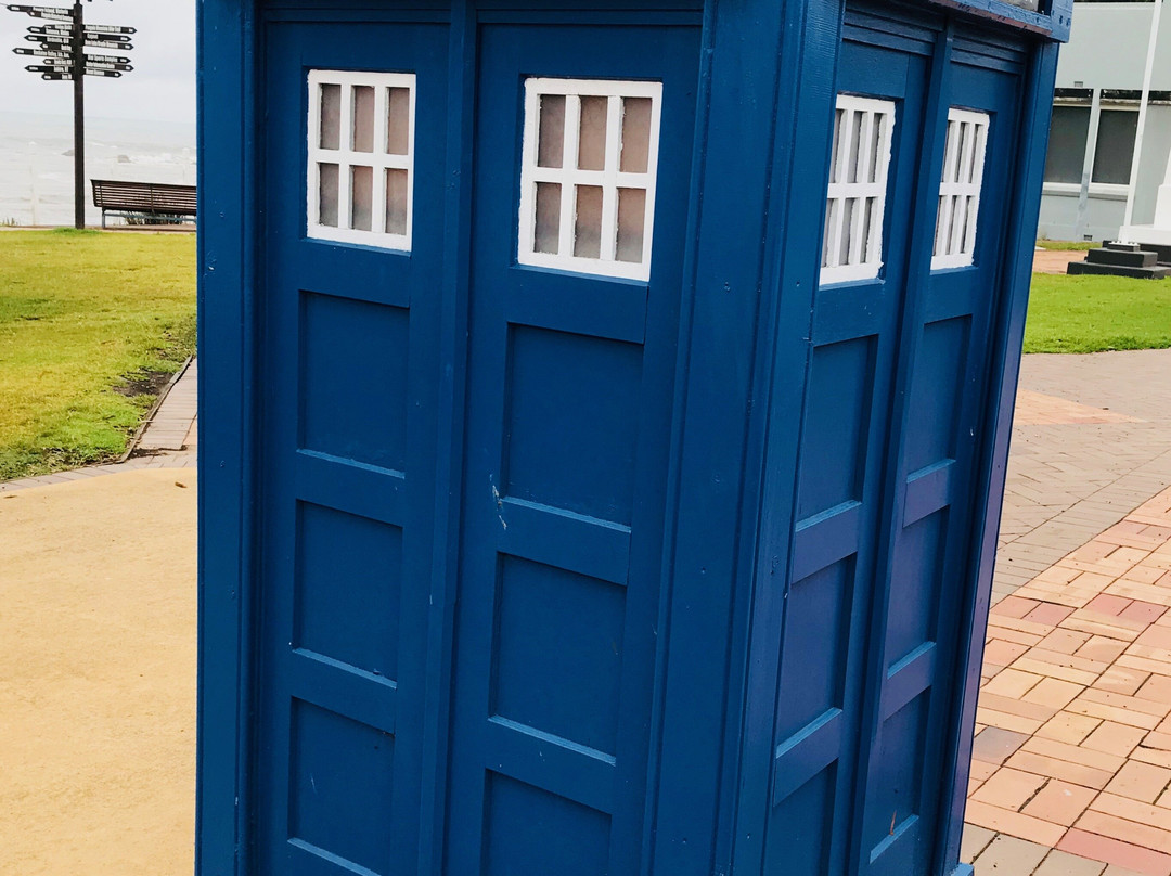 Penguin Foreshore-企鹅岛必去景点