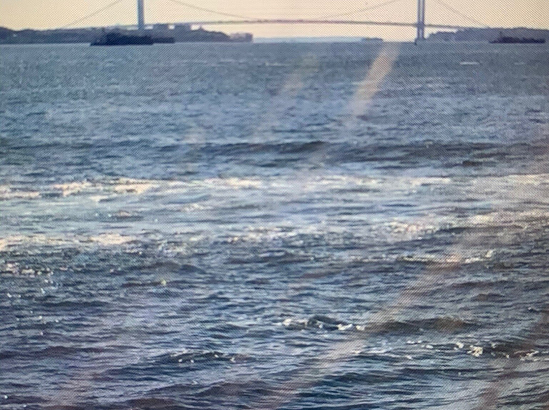 Verrazano Narrows Bridge-布鲁克林必去景点