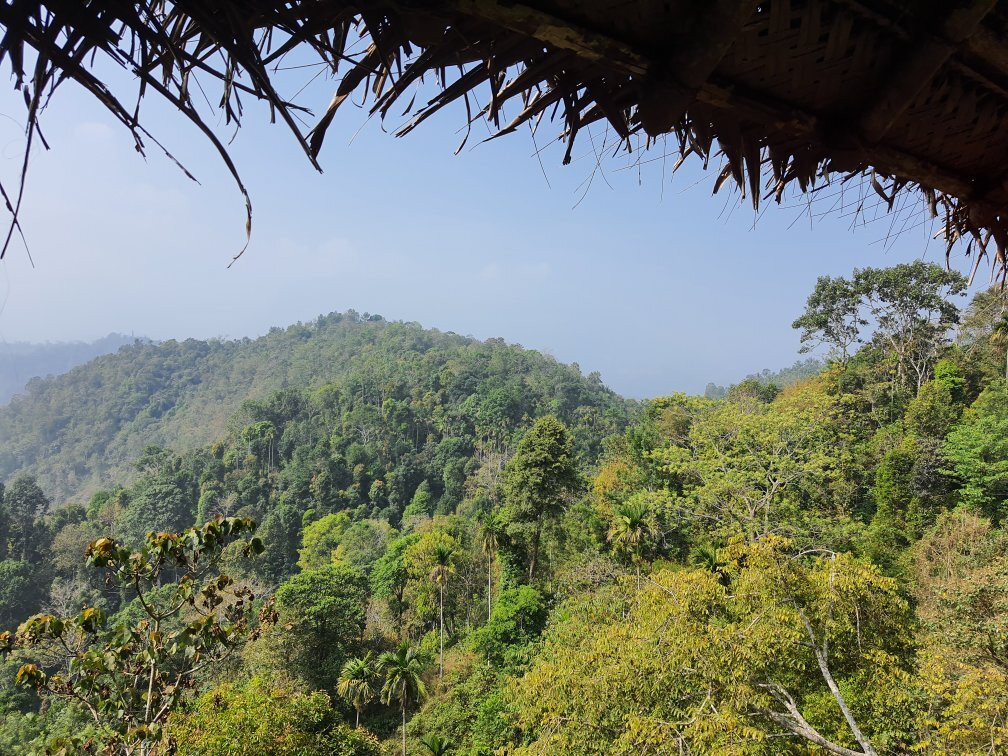 Aranyakam Homestay主图