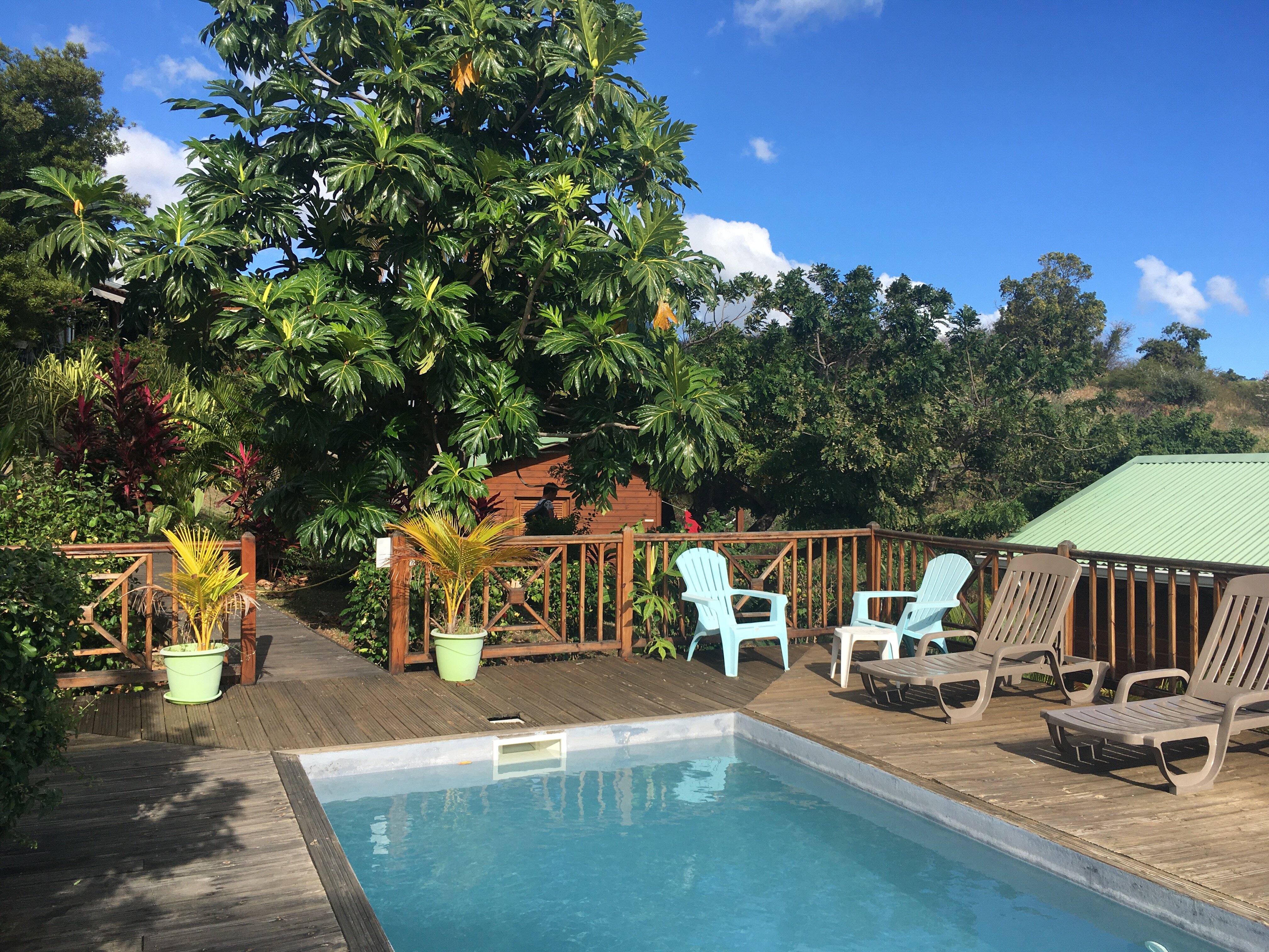 Paradis Tropical appart' hotel-官方