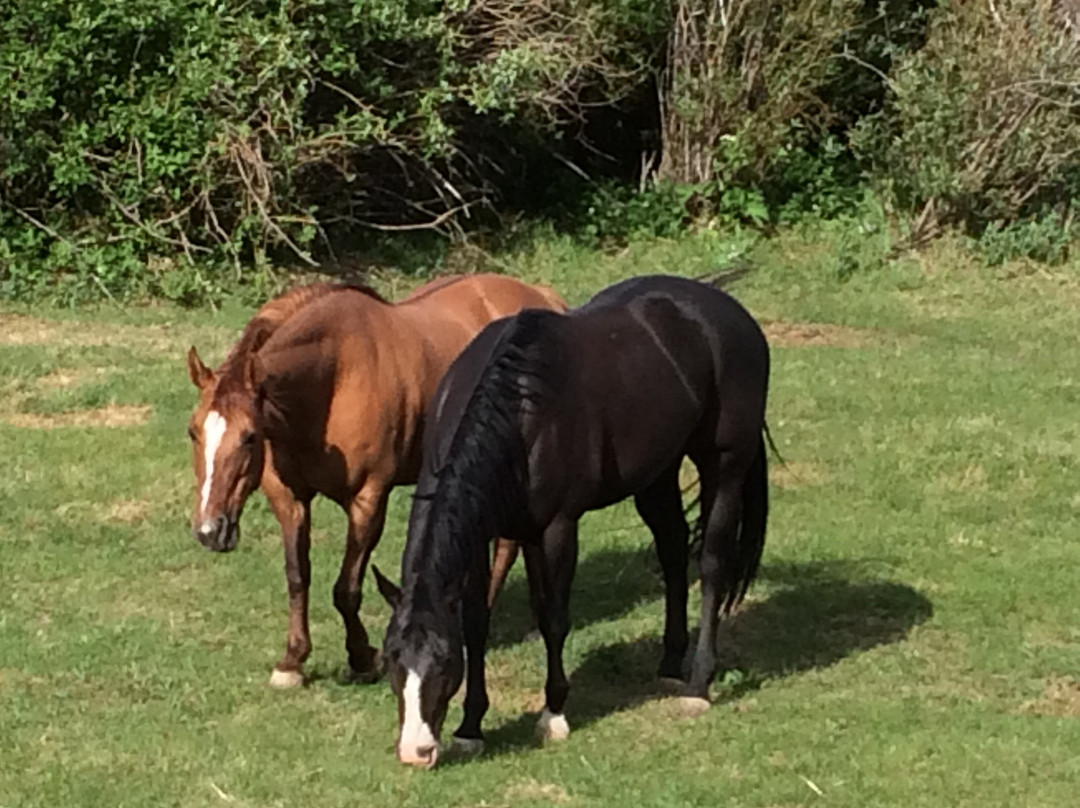 Tarryall River Ranch-Lake George必去景点