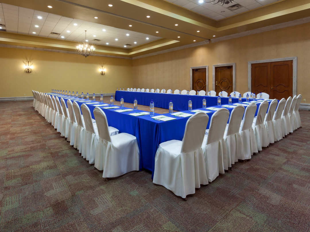 Holiday Inn Matamoros by IHG主图