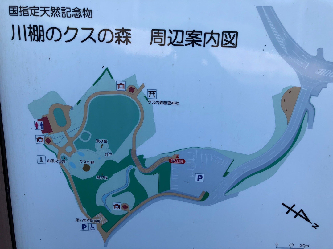 Shimonoseki City Kawatana no Kusu no Mori-下关市必去景点