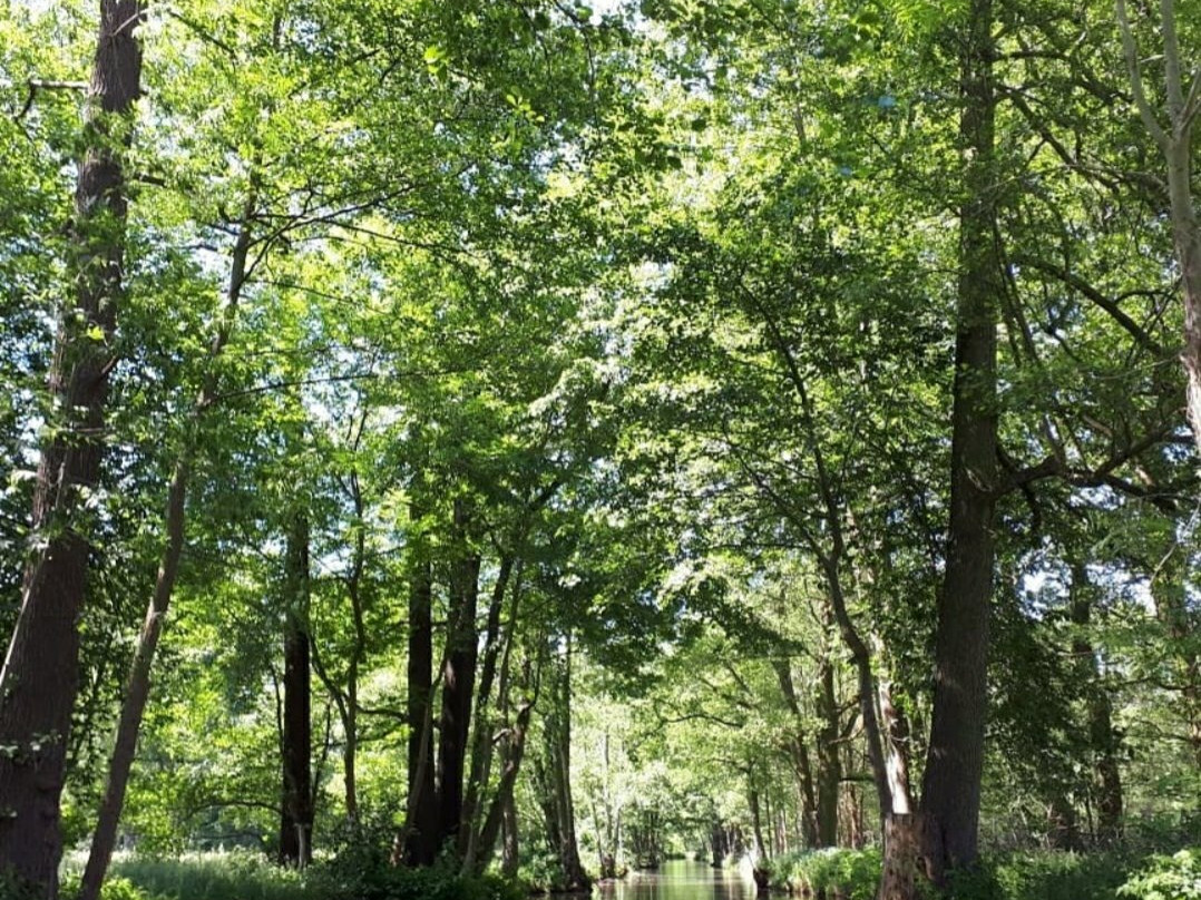 Spreewaldkahnfahrten Ulrich Wolff景点图片