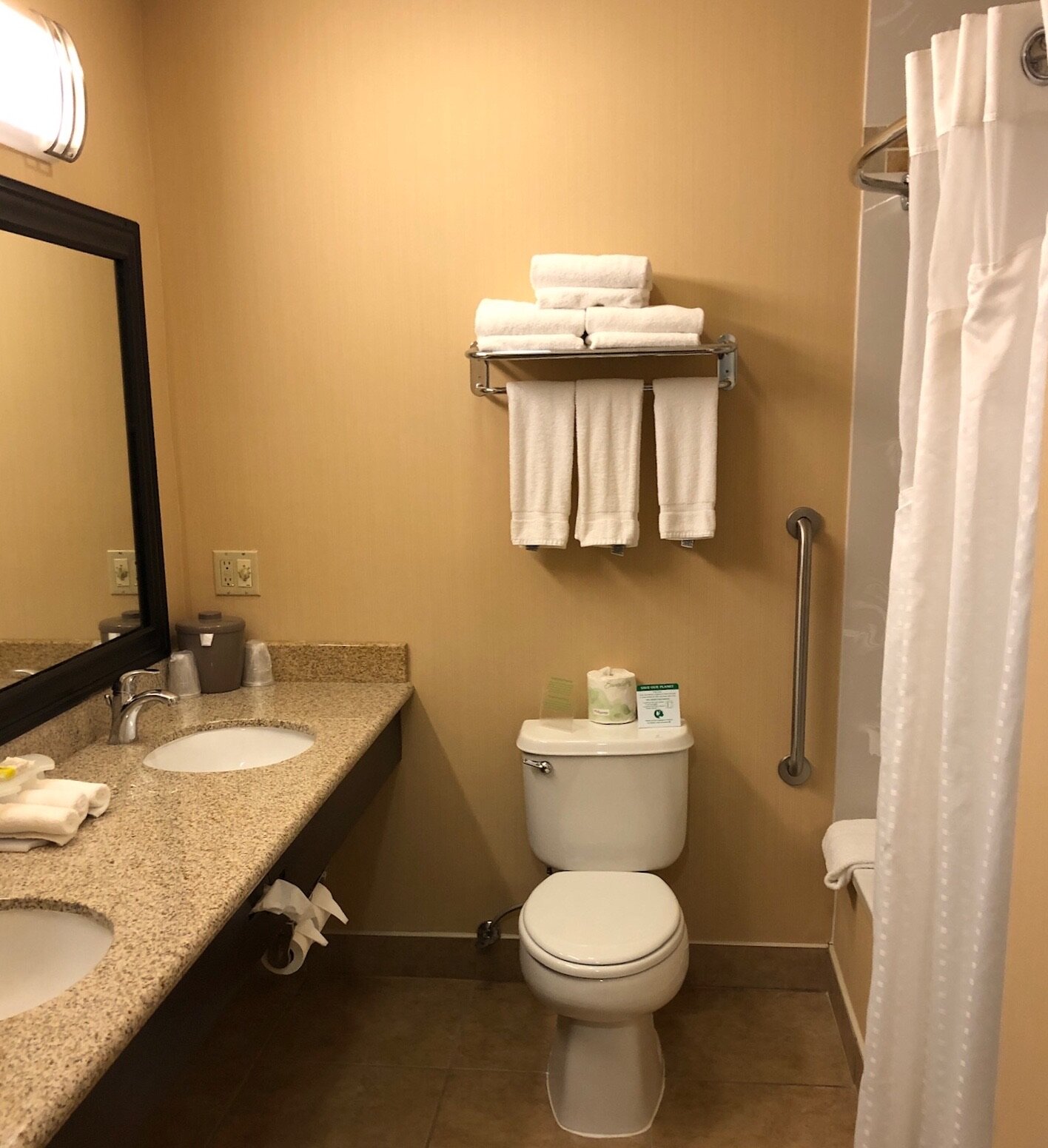 奥克代尔智选假日酒店-官方