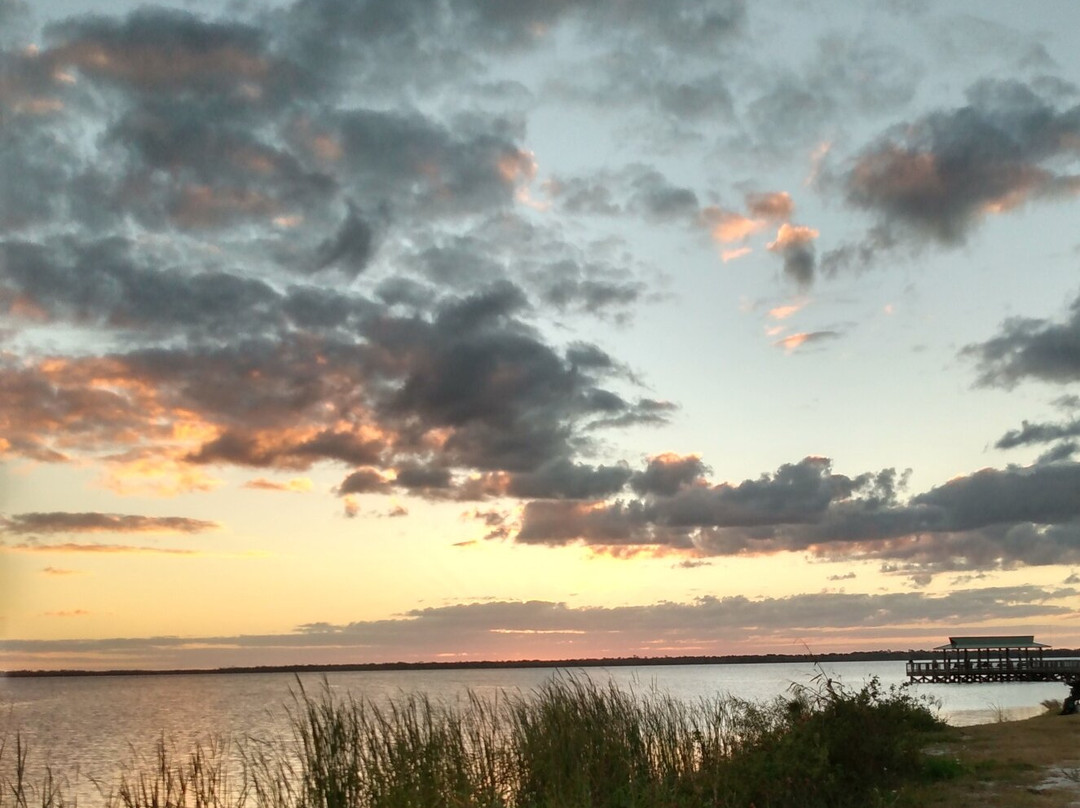 Airboats and Alligators at Lake Trafford Marina-Immokalee必去景点