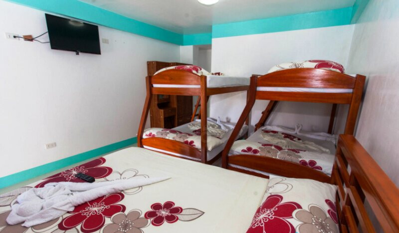 Palm Grove Saud Holiday Complex主图