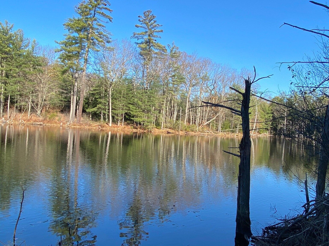 Bearsden Conservation Area-Athol必去景点