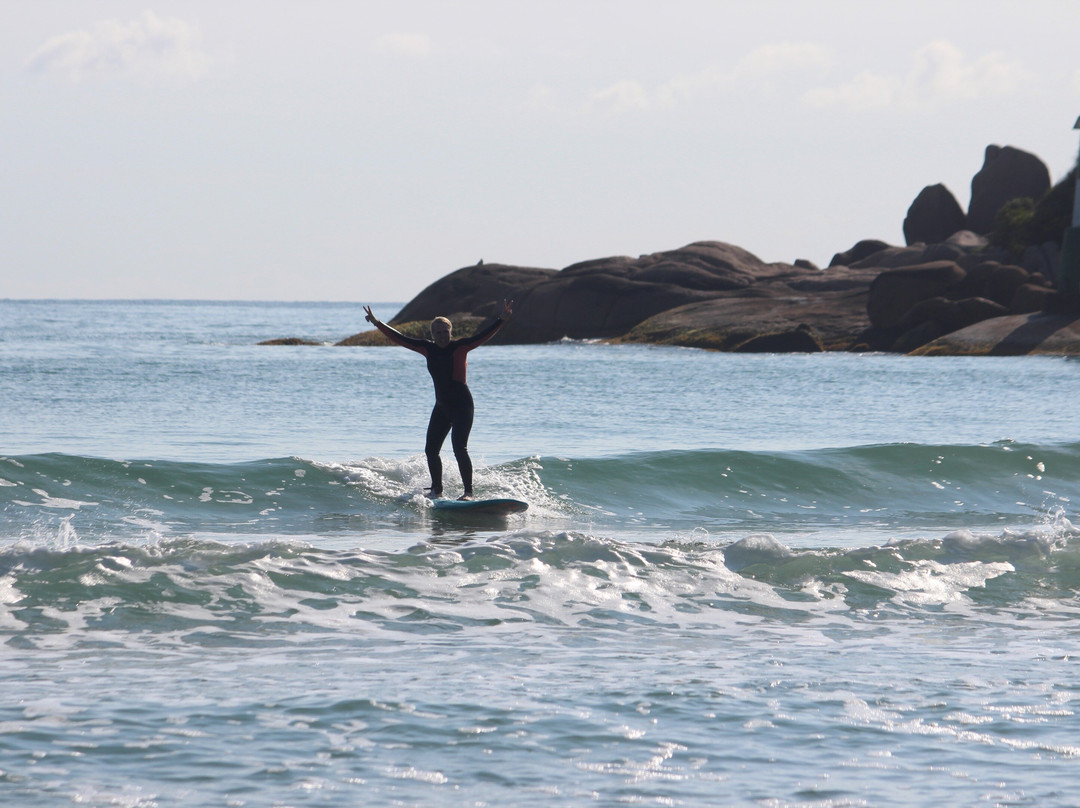 Sea Wolf Surf School-弗洛里亚诺波利斯必去景点