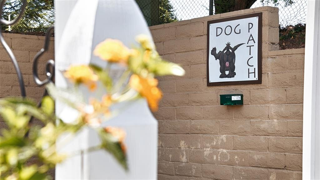 Best Western Danville Sycamore Inn主图