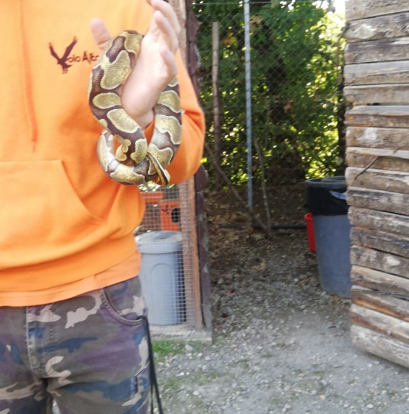Parco Natura e Fattoria Didattica Voloalto-罗马必去景点