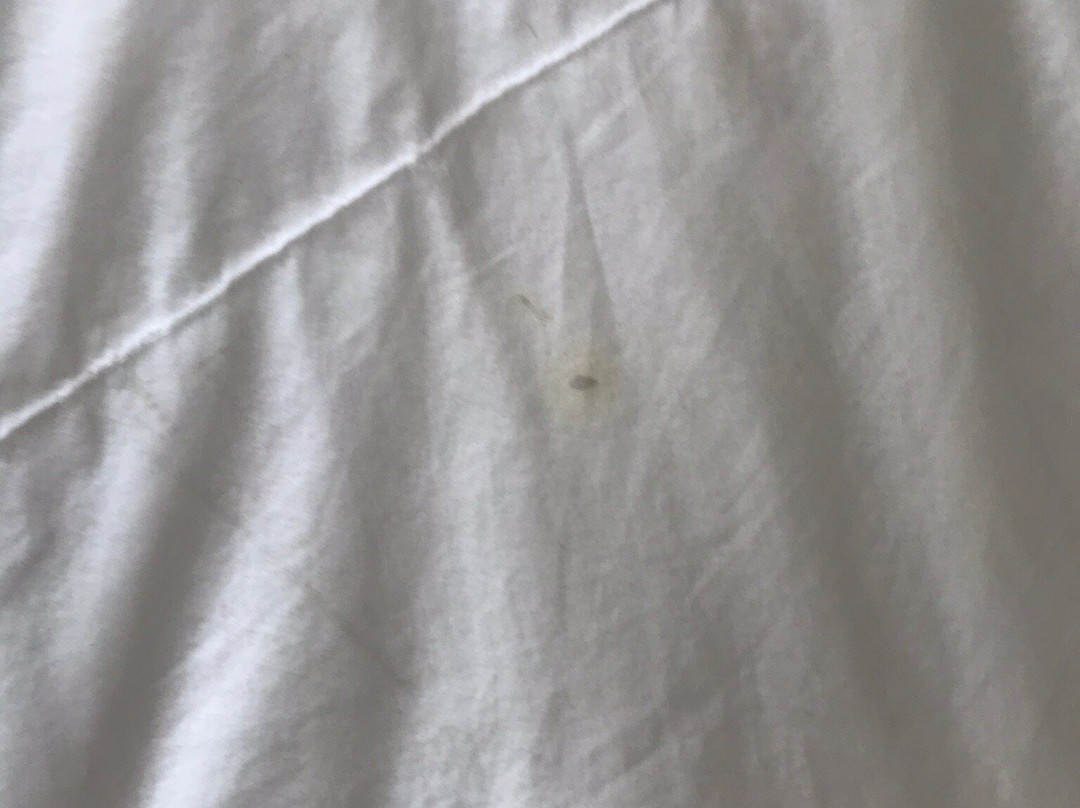 萨默维尔江山旅馆及套房主图