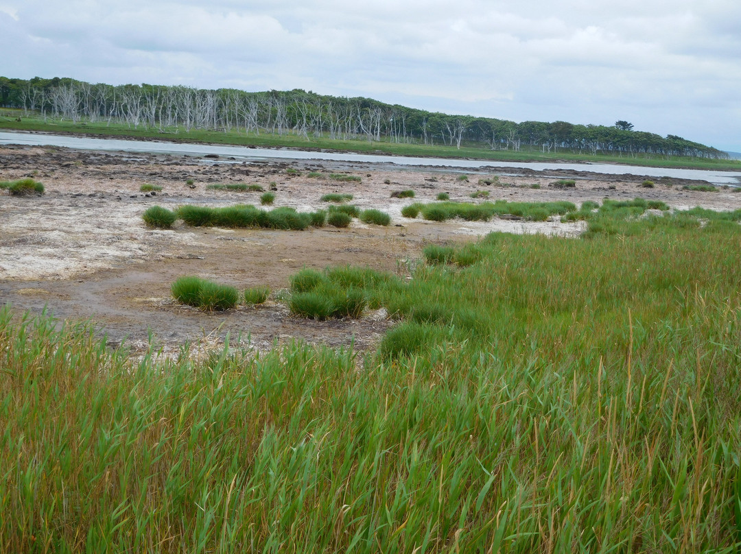 Narawara-别海町必去景点