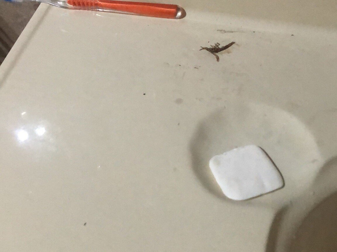 Hotel Real Bonanza主图