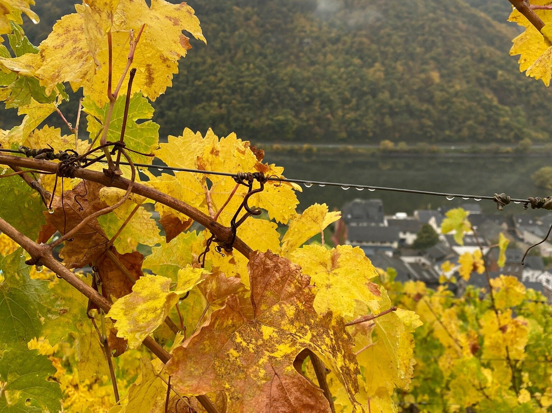 Historische Muehle Vogelsang主图