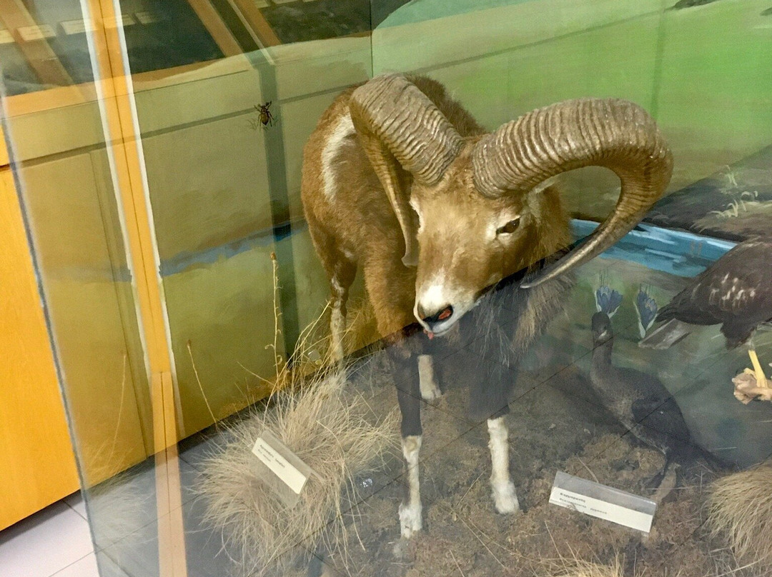 Oitis National Park-Loutra Ipatis必去景点