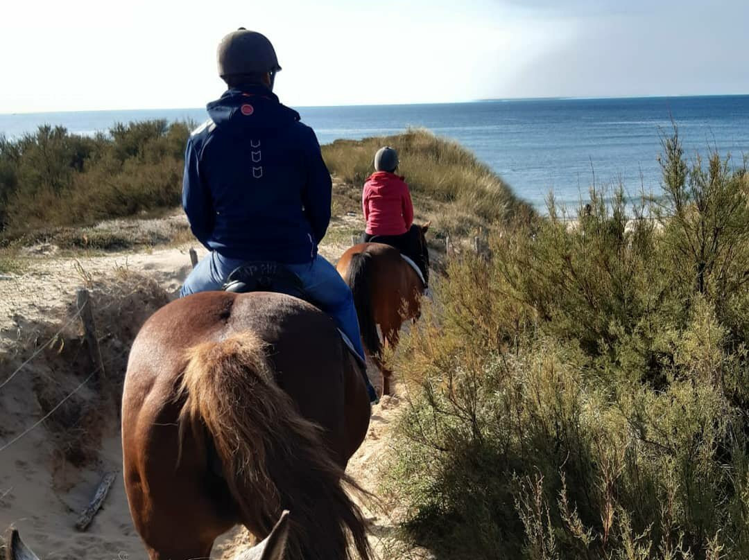 Les Petites Ecuries du Marais-Ars-en-Re必去景点