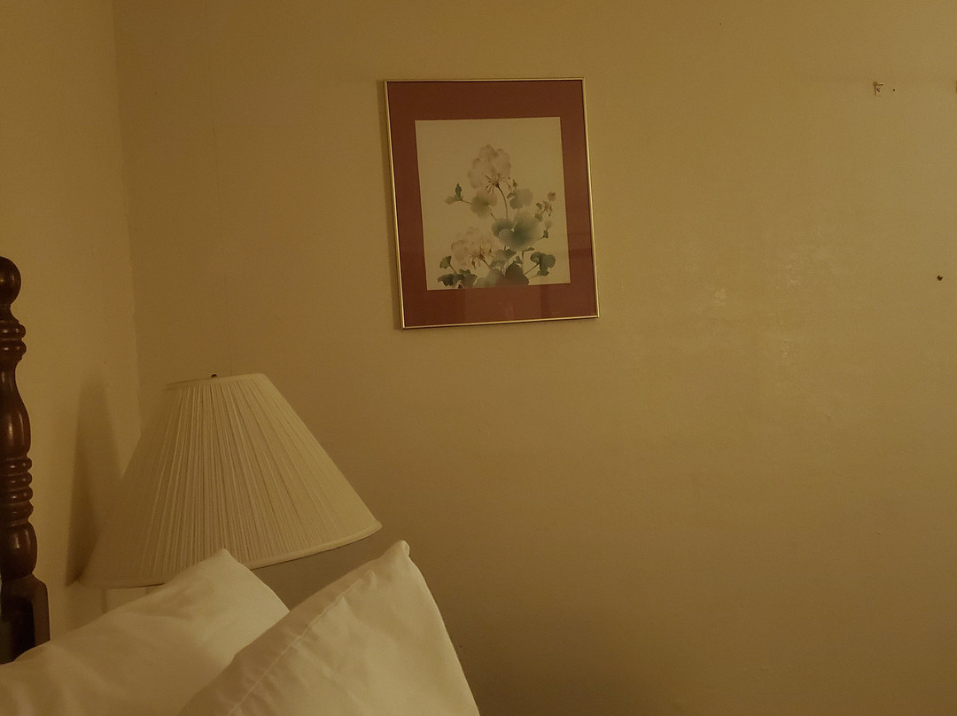 Days Inn by Wyndham Erick主图