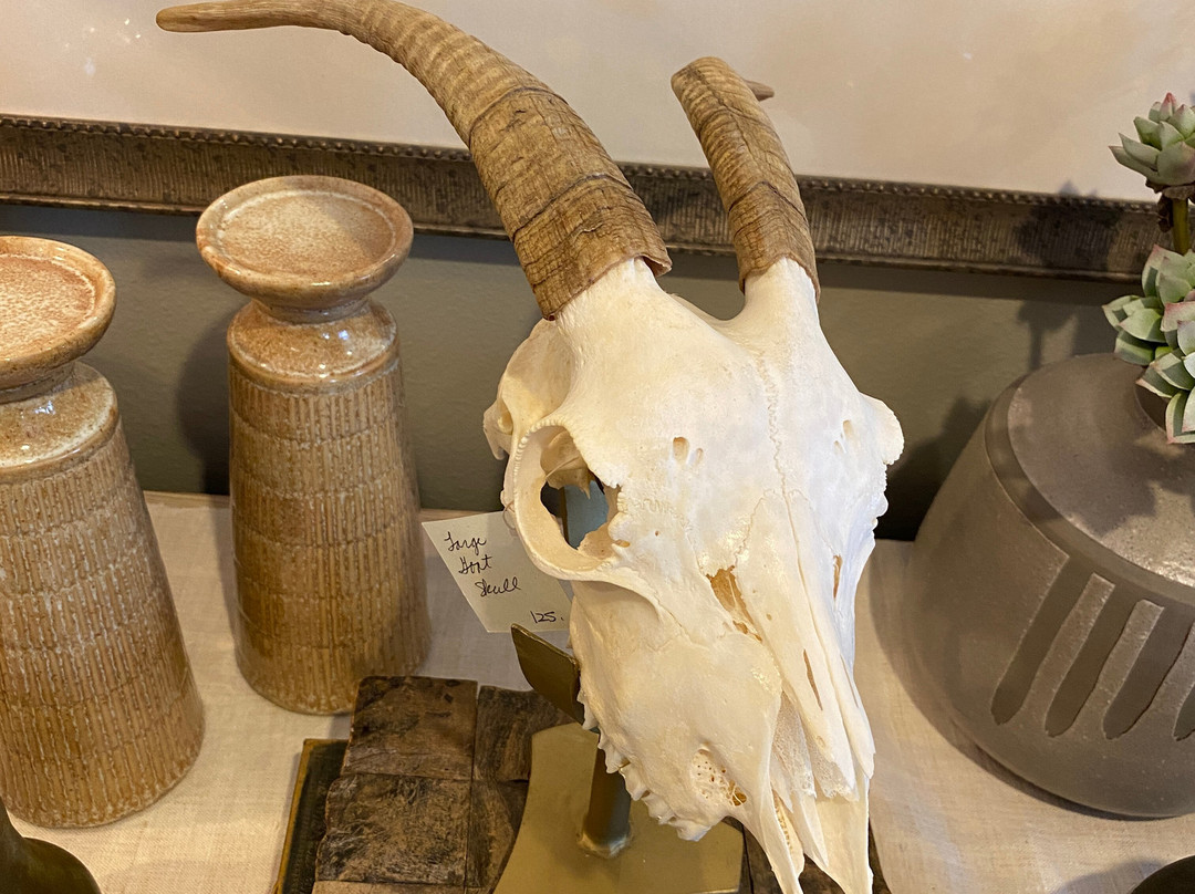 Sesame and Lillies-坎农比奇必去景点