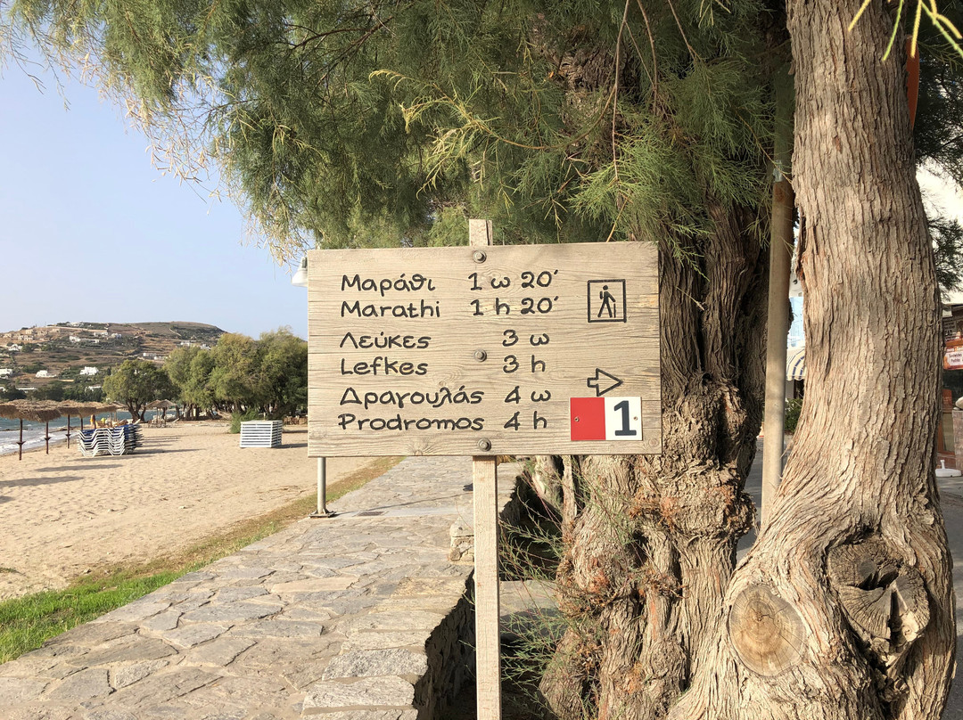 Livadia Beach-帕罗奇亚必去景点