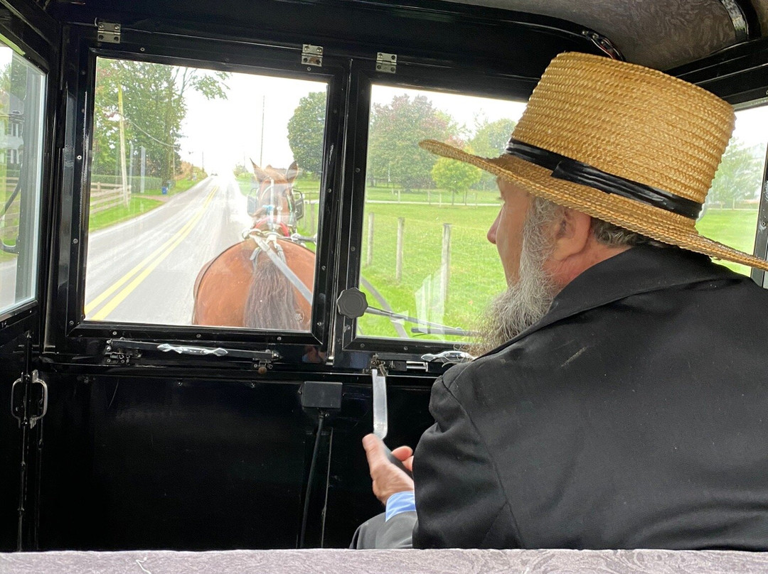 Abe's Buggy Rides景点图片