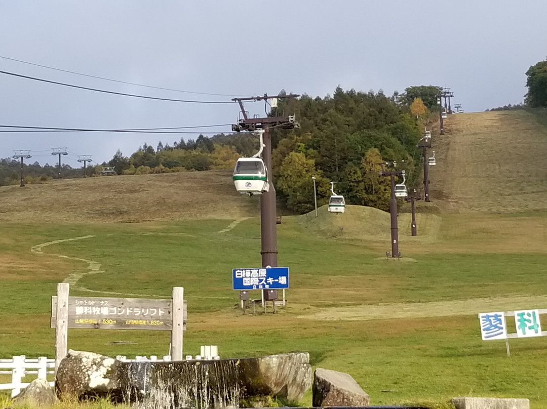 Ikenotaira Shirakaba Kogen Hotel主图