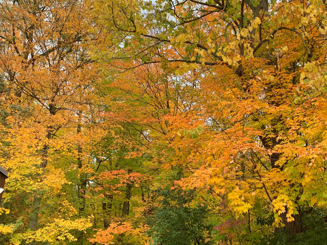 Kortright Centre for Conservation景点图片