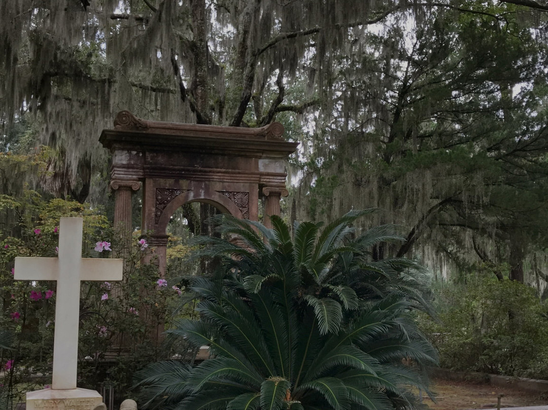 Savannah Cruzers-萨凡纳必去景点