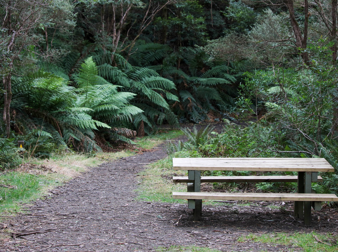 Mushroom Rocks-Erica必去景点