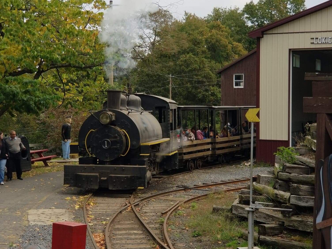 Pioneer Tunnel Coal Mine & Steam Train景点图片