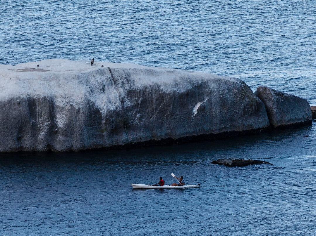 鲸鱼观景庄园旅馆主图