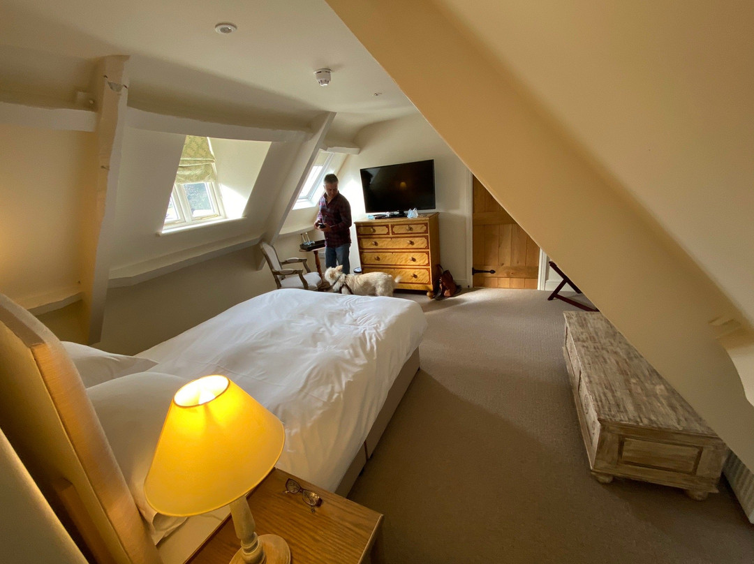 Cat and Custard Pot Inn主图