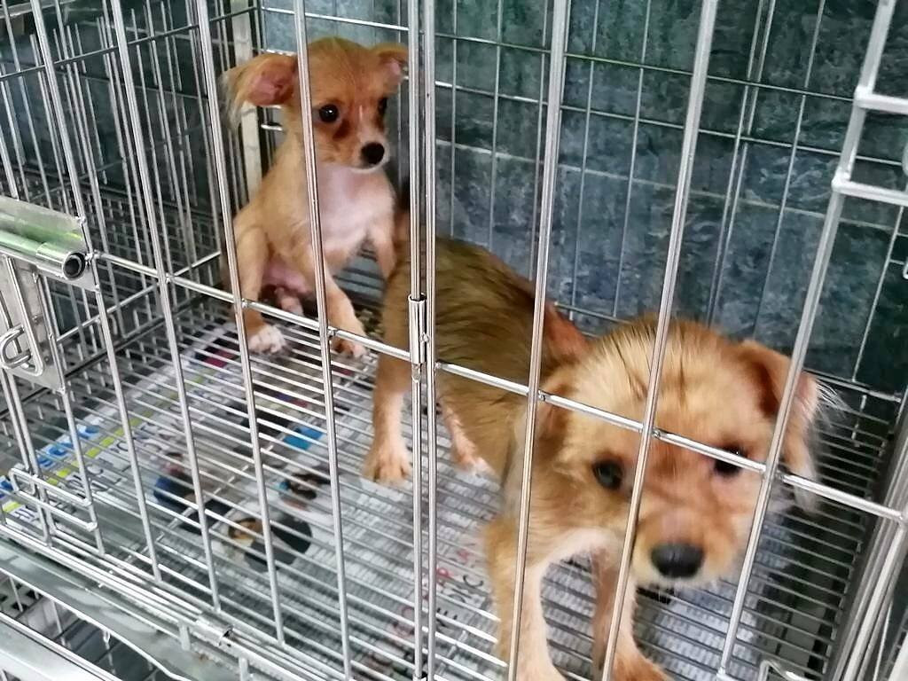 Cartimar-帕塞必去景点