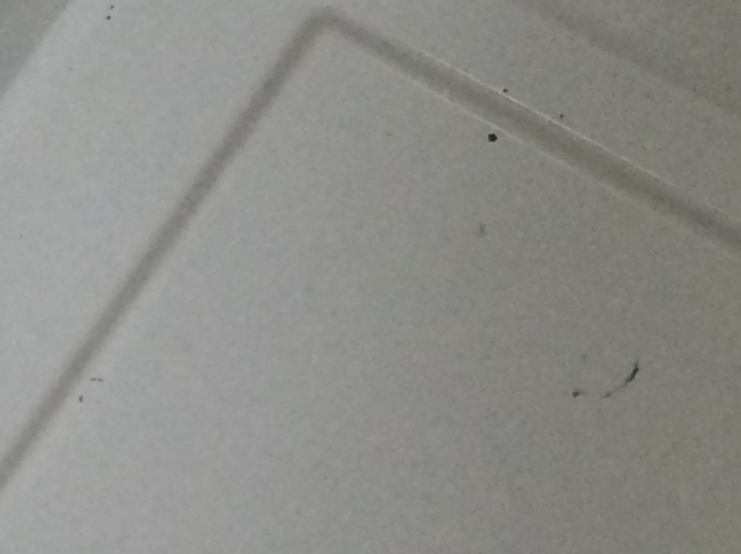 达博探索服务酒店主图