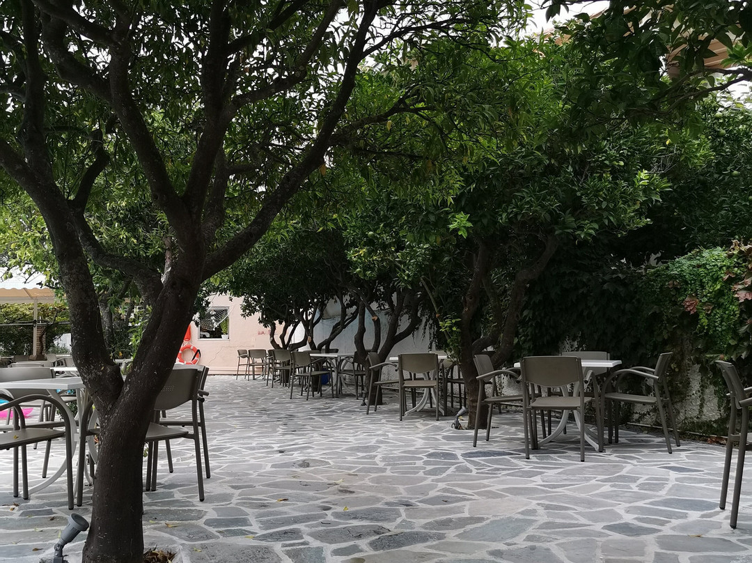 柯奈吉酒店主图