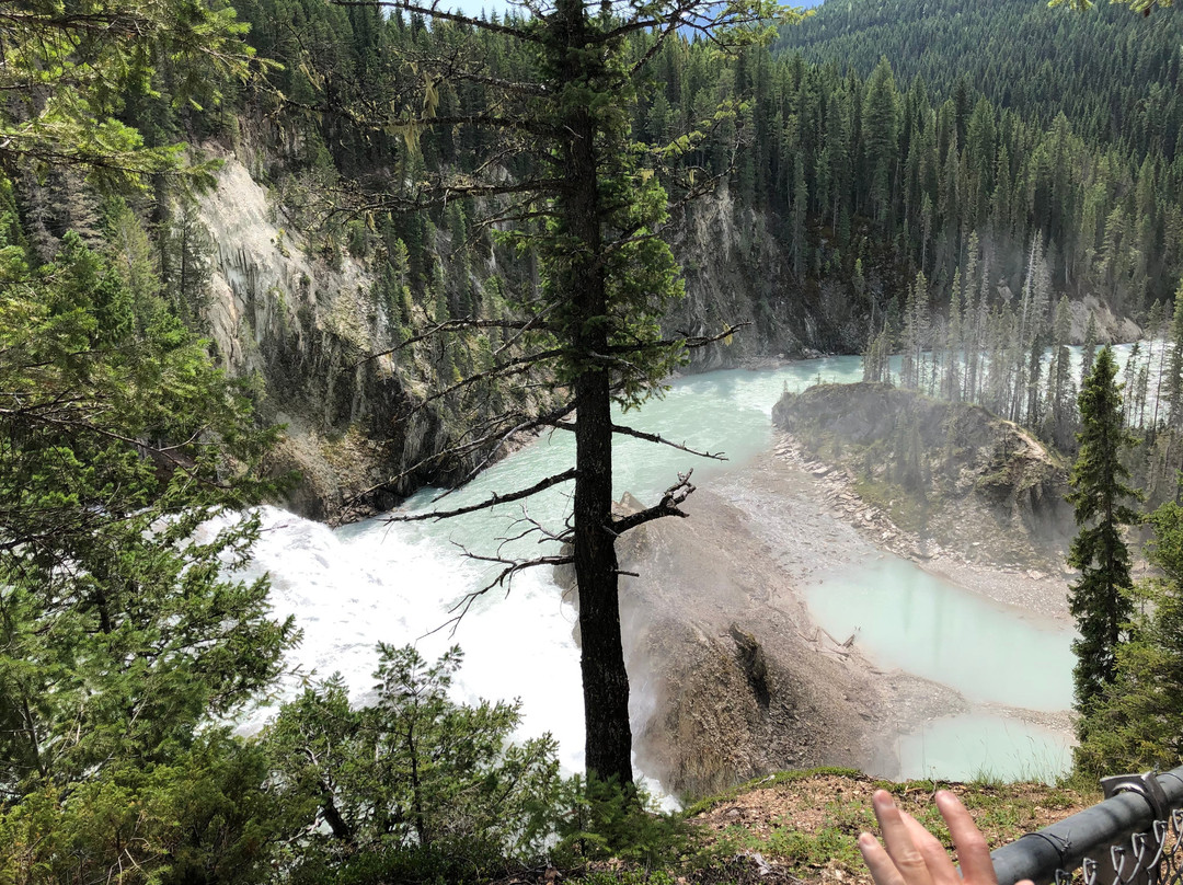 Wapta Falls-幽鹤国家公园必去景点