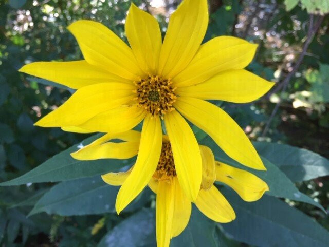 Rotary Park-Menomonee Falls必去景点