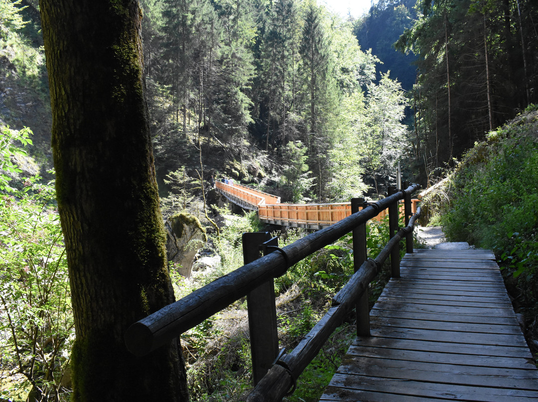 Les Gorges de la Jogne景点图片