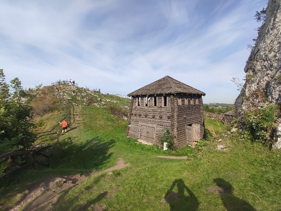 Castle On The Mount Birów景点图片