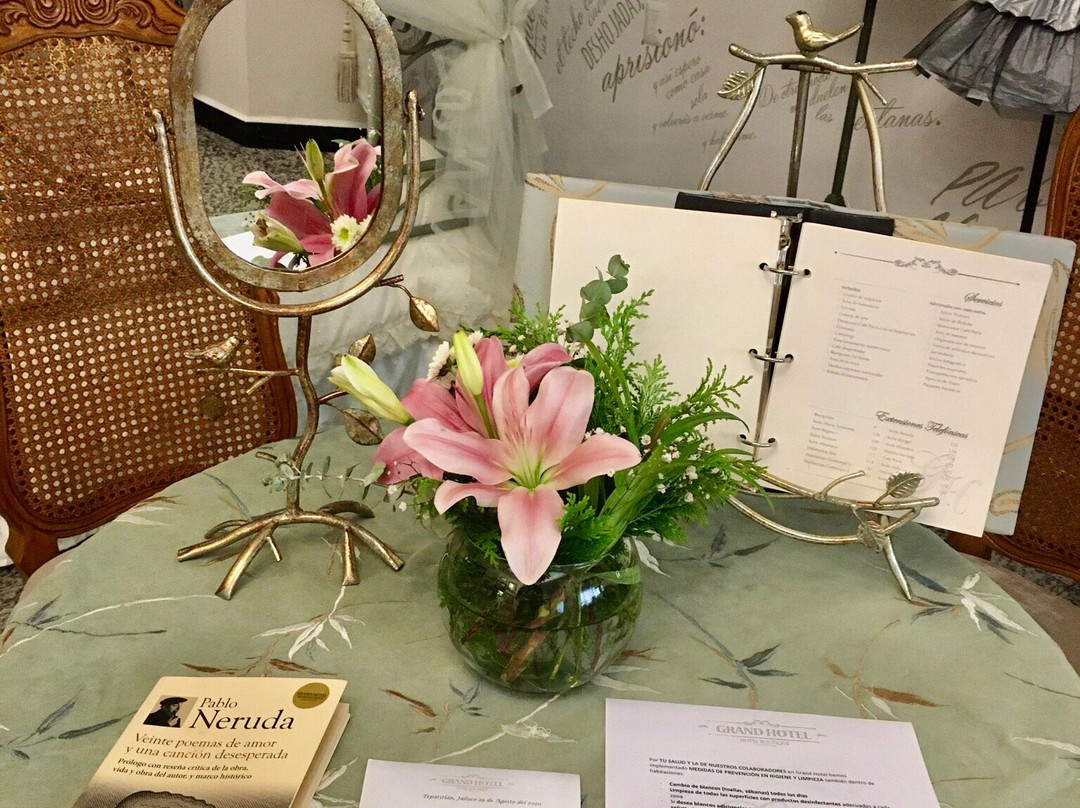 Grand Hotel Tepatitlan主图