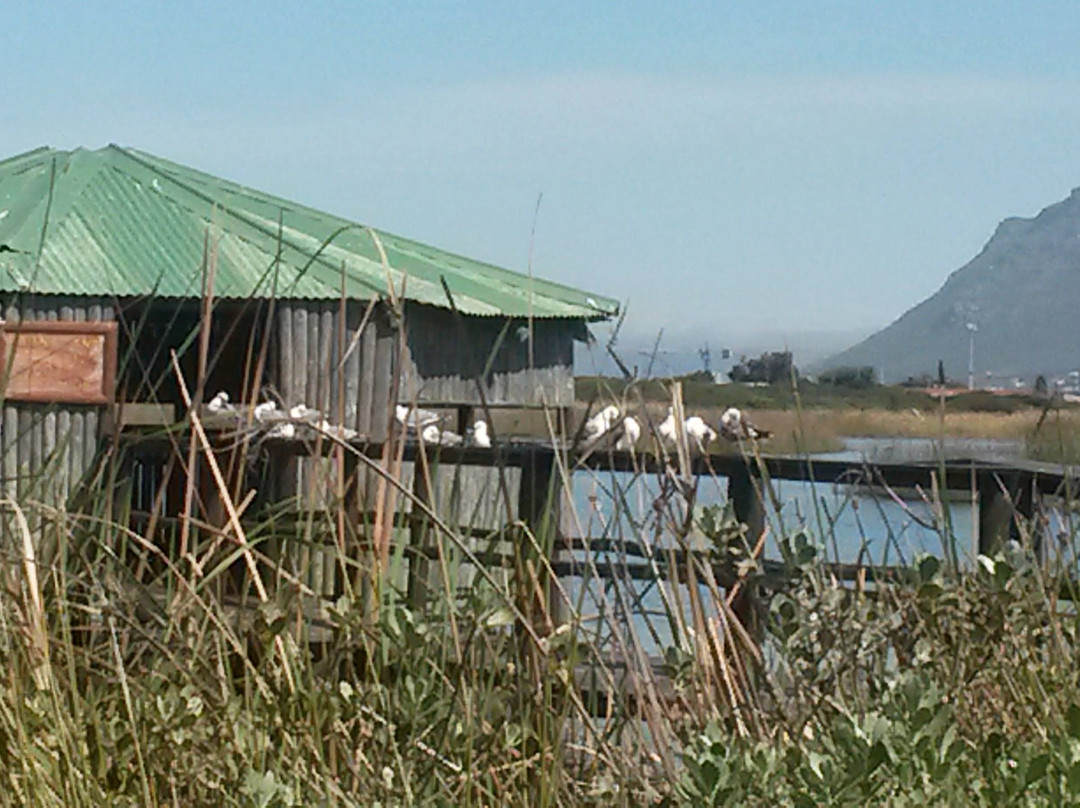 Rondevlei Nature Reserve-开普敦中心区必去景点