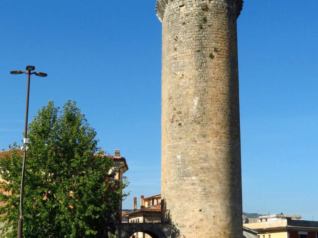 Torre Angioina景点图片