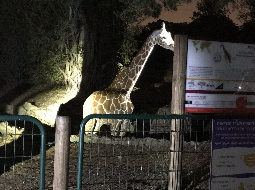 Ramat Gan Safari-拉马干必去景点