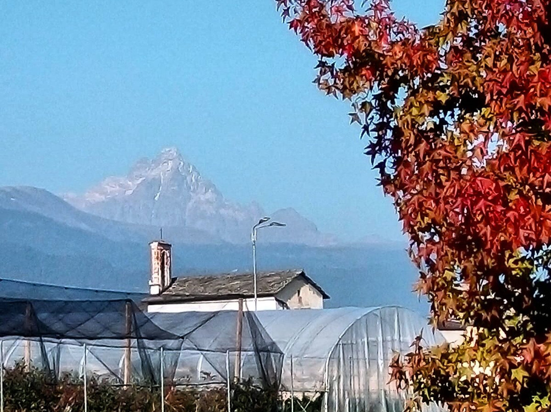 Martiniana Po旅游攻略图片