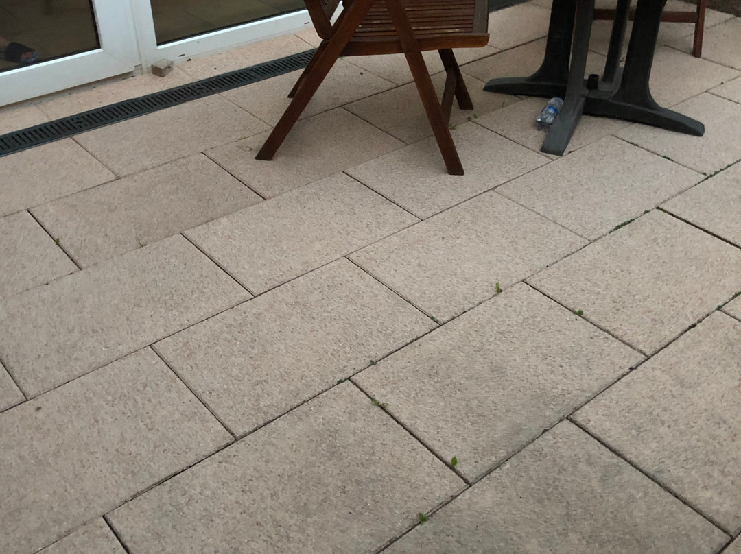 Schwarzwald-Sonnenhof主图