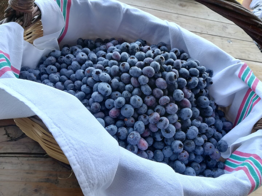 Veix旅游攻略图片