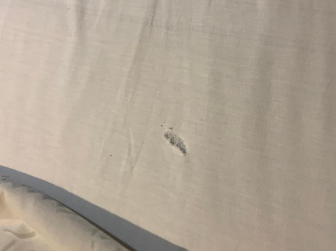 Boone Vacances主图