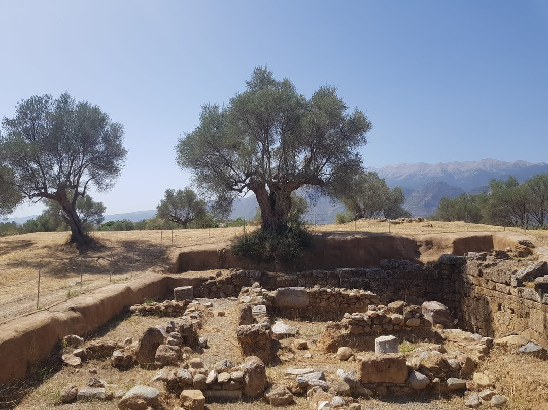 Acropolis and Ancient Theater-Sparta必去景点