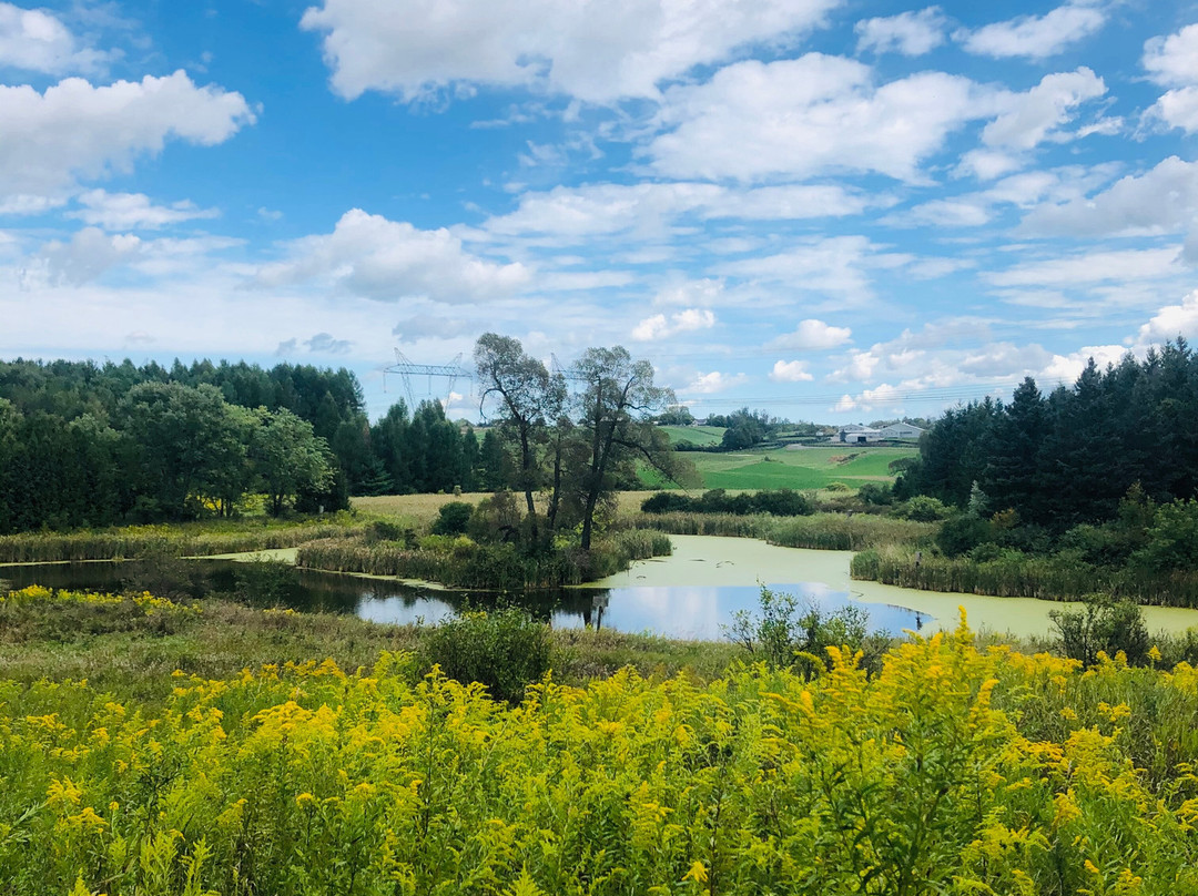 Cold Creek Conservation Area-Nobleton必去景点